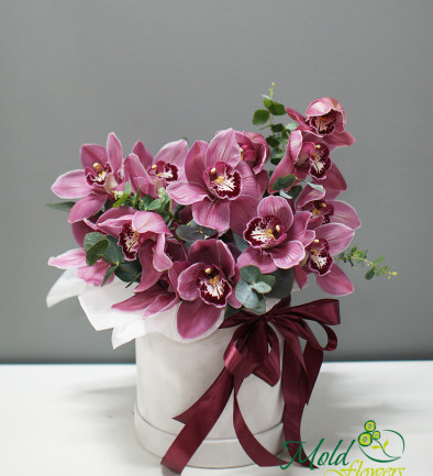 Коробка с розовыми орхидеями Фото 394x433